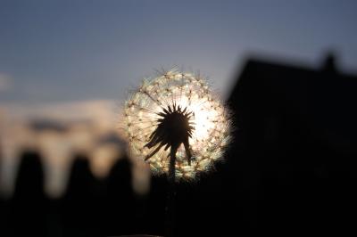 Прикрепленное изображение: 1217r.jpg